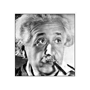  Albert Einstein Address Labels