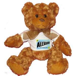   COMES ALEXANDER Plush Teddy Bear with WHITE T Shirt Toys & Games