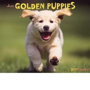  Just Golden Puppies 2011 Wall Calendar