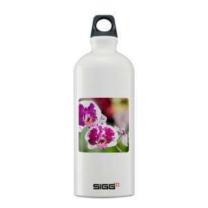  Sigg Water Bottle 0.6L Phalaenopsis Orchids Everything 