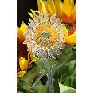  Waterford Crystal Fleurology Sunflower