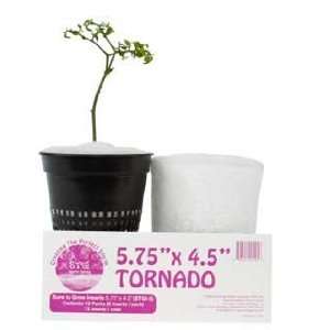  Sure to Grow Storm Series Tornado 5.75 x 4.75 Inches   6 