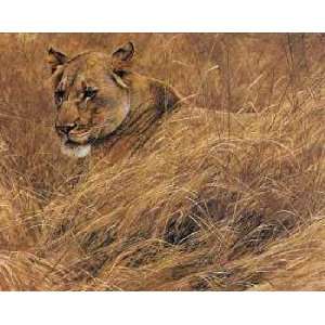  Robert Bateman   In the Grass Lioness