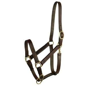  Gatsby Leather 203/3 Stable Halter Yearling Sports 