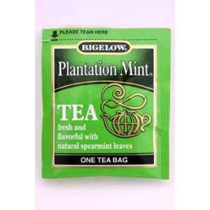  Bigelow Plantation Mint Tea Case Pack 336   361860 Patio 