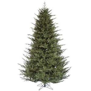   Frasier Christmas Tree w/ 7718T In Bmyw 93 Girth