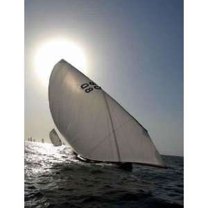  Dhow Sailing on a Sunny Day   Peel and Stick Wall Decal by 