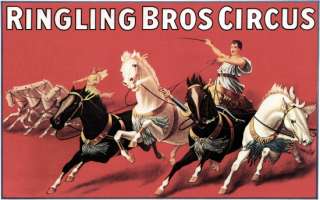 Ringling Bros Circus Chariot Racers Circus Poster  