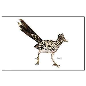  Roadrunner Bird Animals Mini Poster Print by  