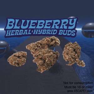  Blueberry Hybrid Herbal Incense 3gm 