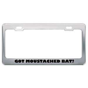  Got Moustached Bat? Animals Pets Metal License Plate Frame 