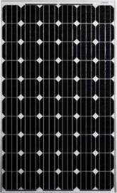 Canadian Solar CS6P 240W Solar Panel   Minimum Order 6 Units.  
