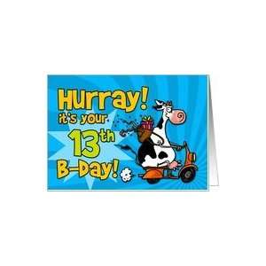  Hurray its your 13th birthday Card Toys & Games