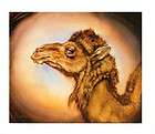 Martin Katon YOUNG CAMEL L/E HAND S/N NUMBERED Giclee Canvas w/COA $ 