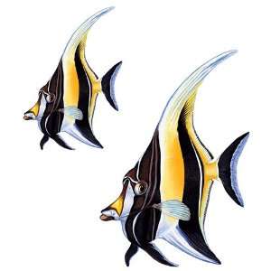  Aqua Decal Morrish Idol Fish Group