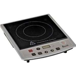 Induction Hotplate 