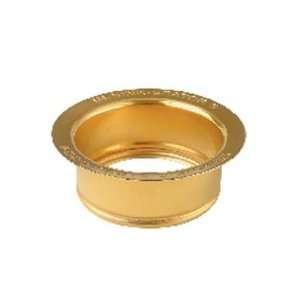  InSinkErator FLG PB Sink Flange, Polished Brass