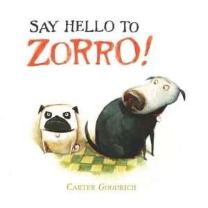  Say Hello to Zorro   [SAY HELLO TO ZORRO] [Hardcover 