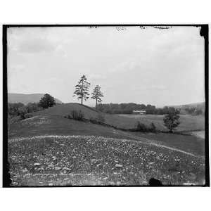  Sullivans Hill near Lomanville i.e. Lowman,N.Y.