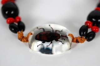 BUG BRACELET Red Leaf Beetle Real Insect Bead Jewelry  