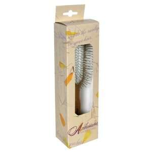  Ambassador Hairbrush, Wood Rectangle, Steel Pins, 1 