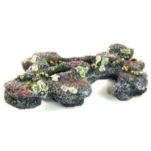  Reef Rock   size 19.5 x 10 X 6