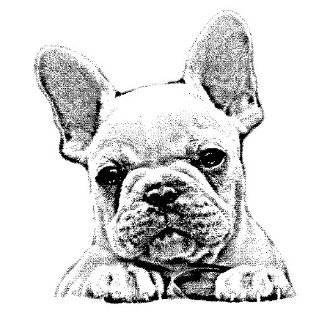  Cute French Bulldog Rubber Stamp   Wood Mounted Arts 