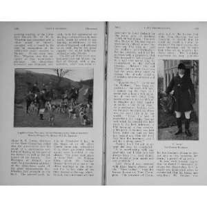  1911 Hunting Walters Duke Beaufort Hounds Short Sport 