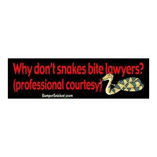 Why Dont Snakes Bite Lawyers? Professional courtesy.   funny bumper 