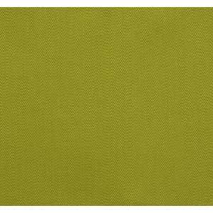  2414 Boardwalk in Lime by Pindler Fabric