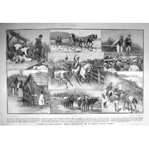   1908 BRITISH EMIGRANTS NEW ZEALAND SHEEP STEERS FARM