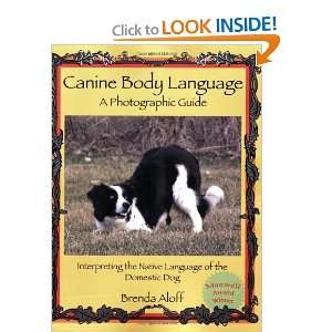  Body Language A Photographic Guide Interpreting the Native Language 
