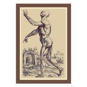 Second Plate of the Muscles by Andreas Vesalius 12x18  