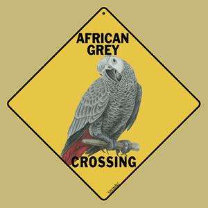 African Grey Parrot Crossing Sign NEW 12x12 Metal Gray  