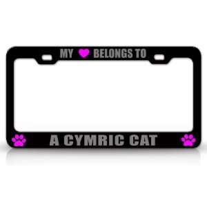  MY HEART BELONGS TO A CYMRIC Cat Pet Auto License Plate 