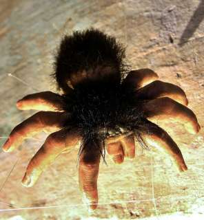 Silicone Tarantula Spider Prop With Realistic Human Fingers As Legs 