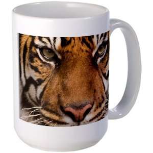  Large Mug Coffee Drink Cup Sumatran Tiger Face Everything 