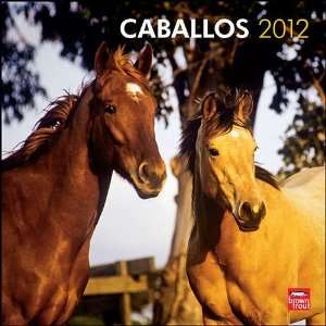  Horses (Spanish) 2012 Wall Calendar