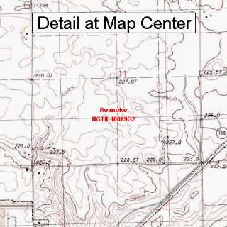  USGS Topographic Quadrangle Map   Roanoke, Illinois 