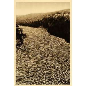  1926 Tobique River Logs Lumbering New Brunswick Canada 