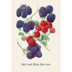  Red and Blue Berries   12x18 Framed Print in Gold Frame 