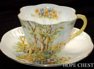 Shelley DAFFODIL TIME DAINTY Tea cup and Saucer  