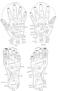 Acupressure / Acupuncture Foot Massage Roller Massager  