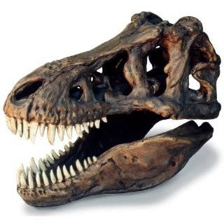 Dinosaur Raptor Egg Replica Fossil
