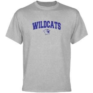  Northwestern Wildcats Ash Mascot Arch T shirt  Sports 