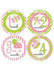 Monthly Onesie Stickers Baby GIRL PINK Green Bug OOAK Keepsake Gift 