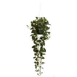 Silk 44 inch Hanging Philodendron Plant  