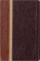  Version/ The Message Parallel Study Bible (Paperback)  
