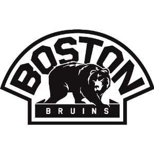    Boston Bruins NHL Vinyl Decal Stickers / 16 X 10 