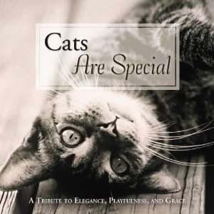  Cats Are Special A Tribute to Elegance, Playfulness, and 